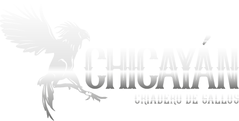 Chicay&aacute;n